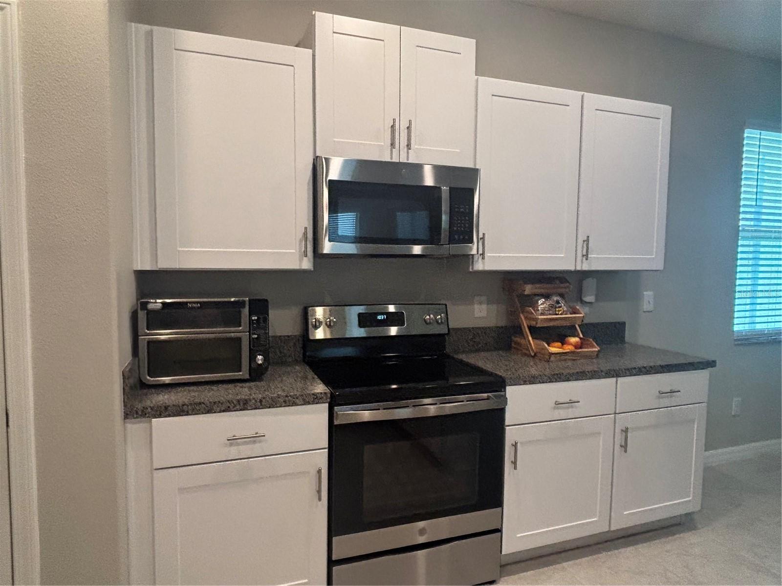 9601 FLOURISH DR, LAND O LAKES, FL, 34637