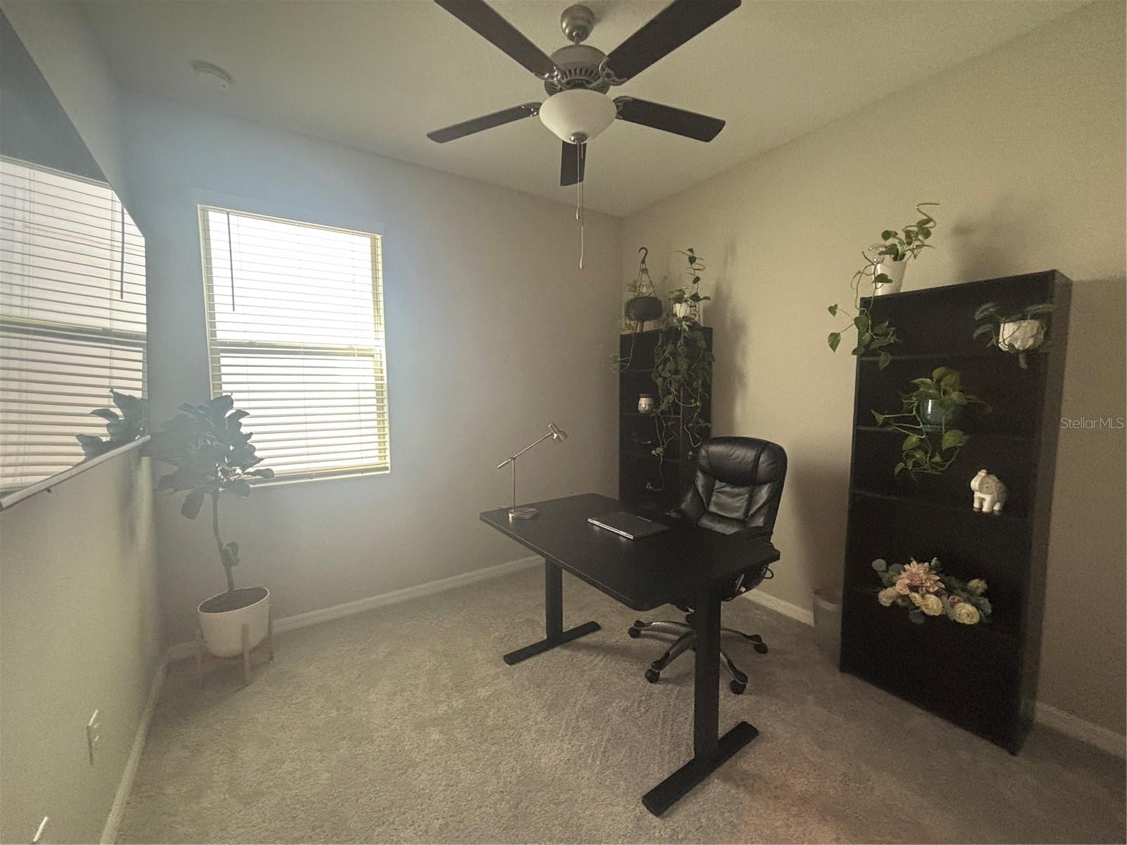 9601 FLOURISH DR, LAND O LAKES, FL, 34637