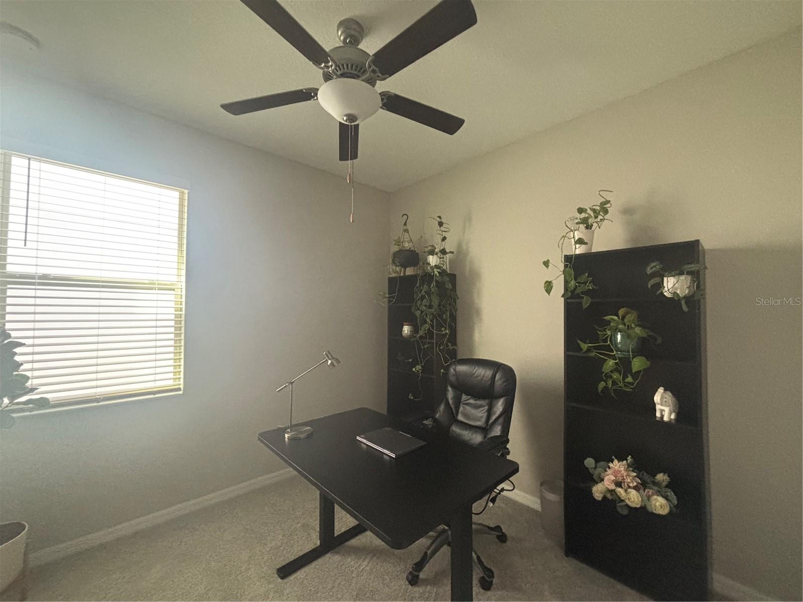 9601 FLOURISH DR, LAND O LAKES, FL, 34637