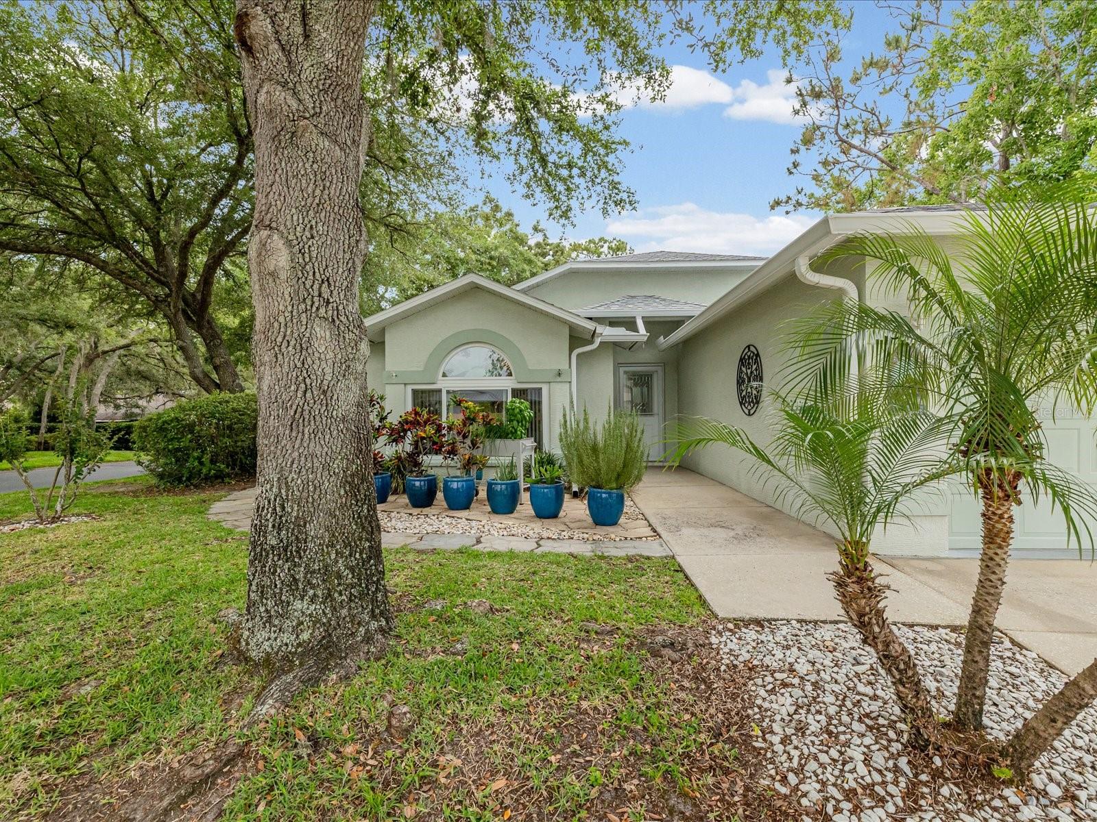 10836 BROOKHAVEN DR, NEW PORT RICHEY, FL, 34654