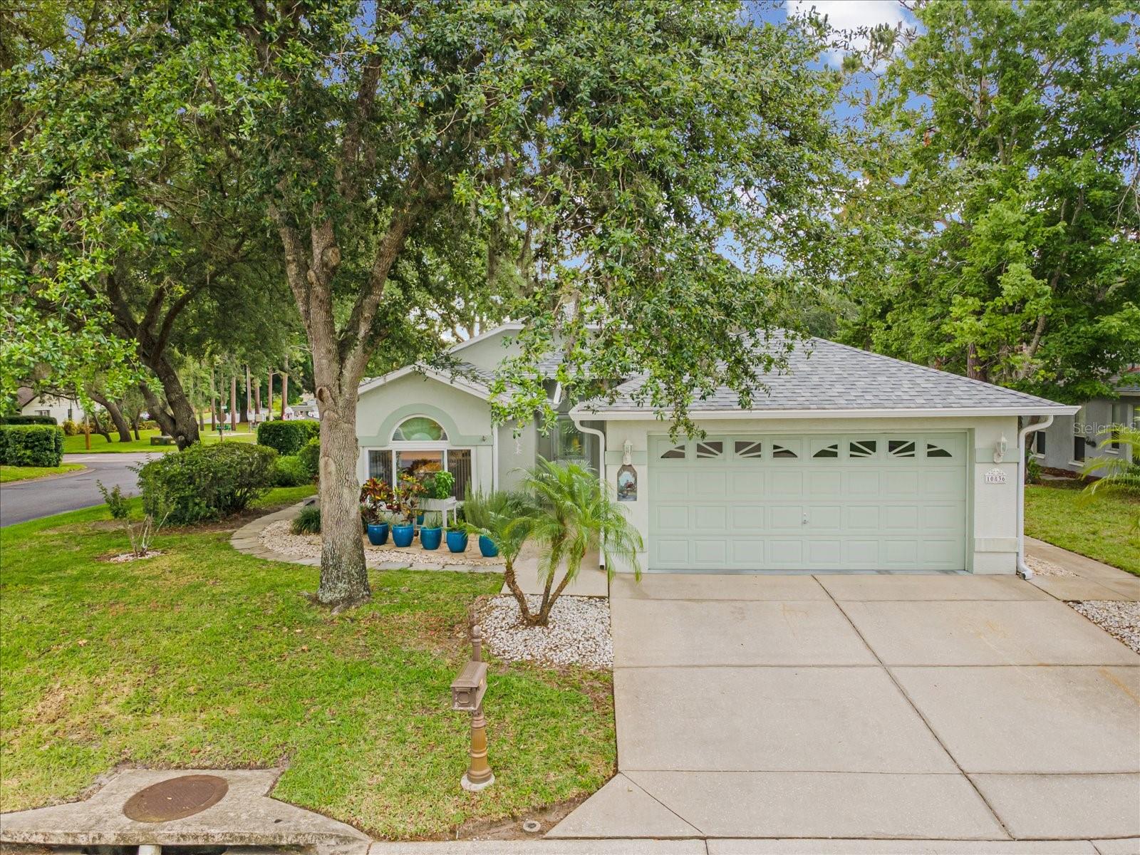 10836 BROOKHAVEN DR, NEW PORT RICHEY, FL, 34654
