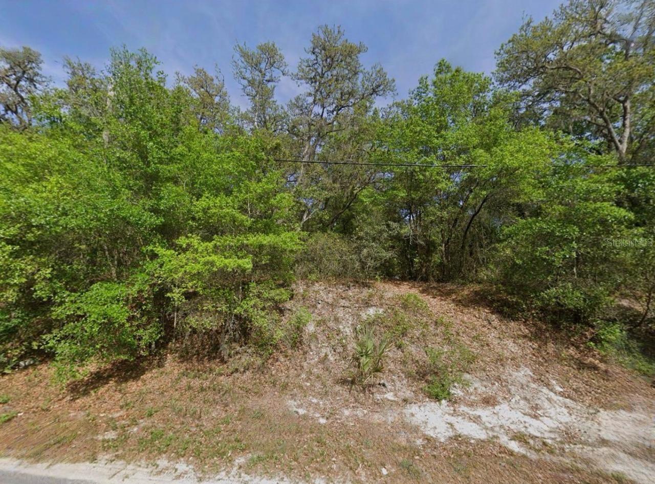 BROWARD AVE, POMONA PARK, FL, 32181