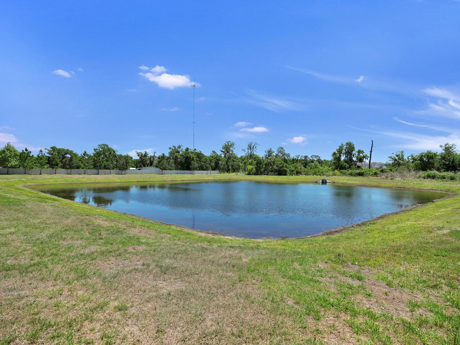 12048 ORCHID ASH ST, RIVERVIEW, FL, 33579
