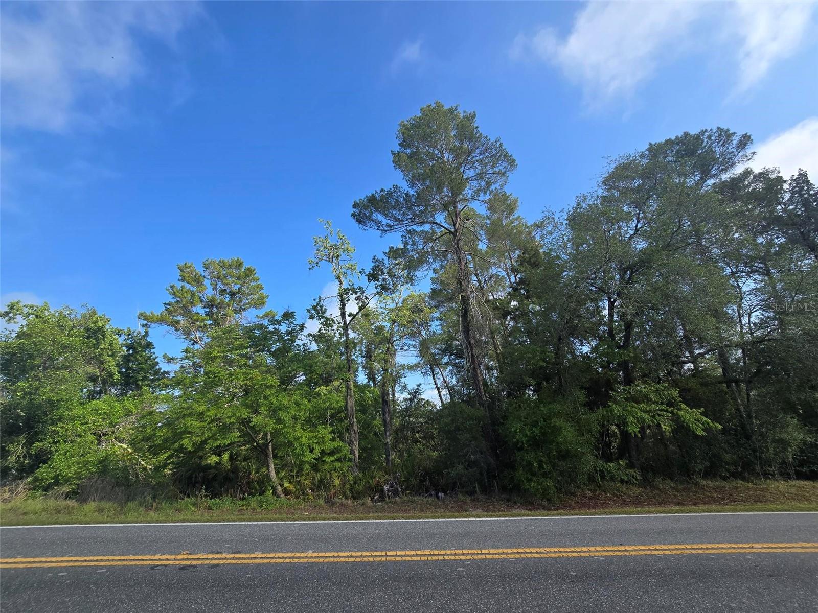 10185 NODDY TERN RD, WEEKI WACHEE, FL, 34613