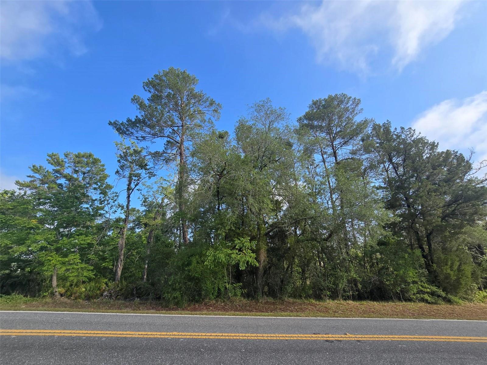 10185 NODDY TERN RD, WEEKI WACHEE, FL, 34613