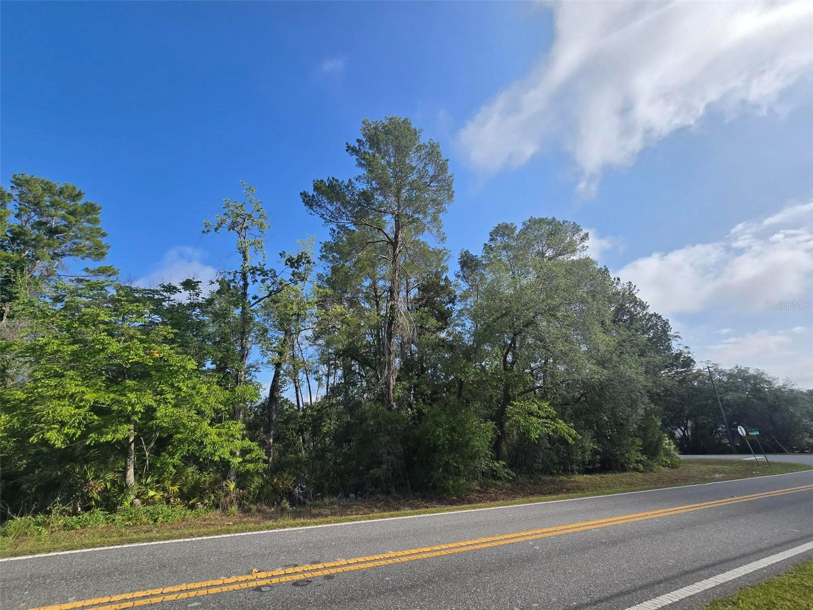 10185 NODDY TERN RD, WEEKI WACHEE, FL, 34613