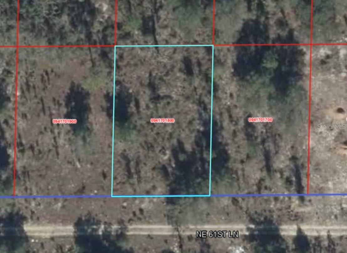 NE 61ST LN, WILLISTON, FL, 32696