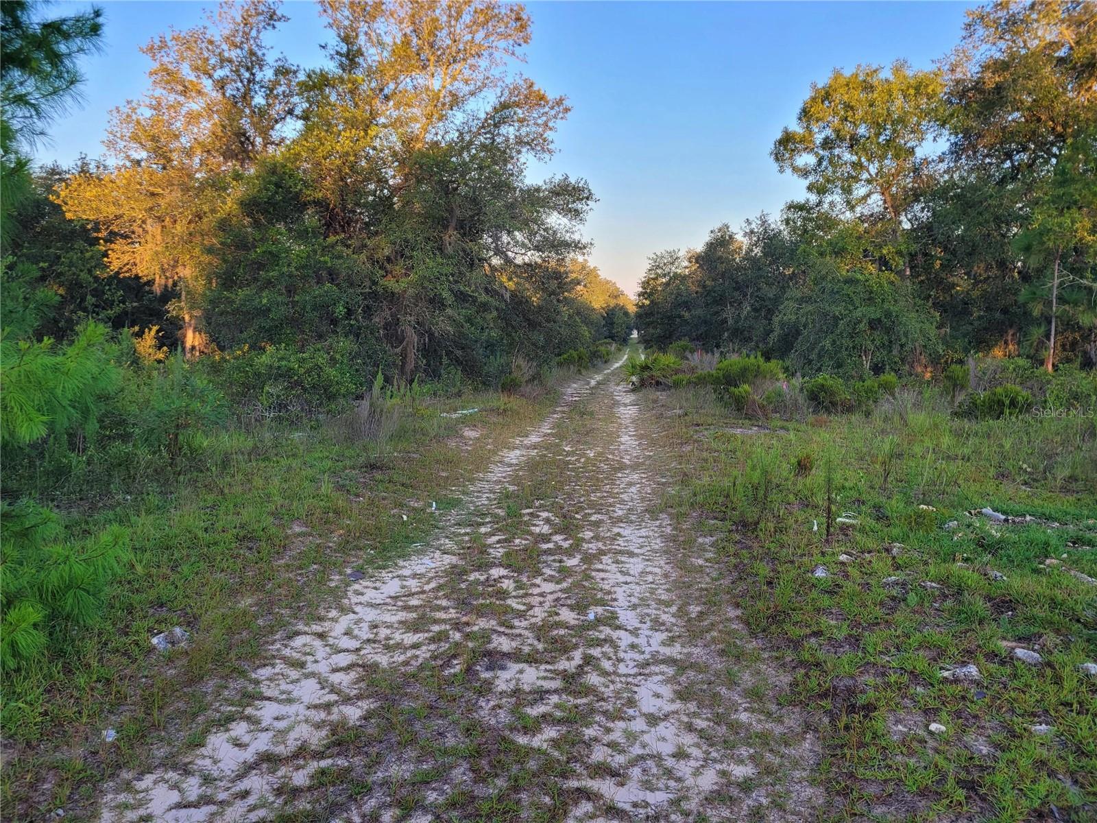 NE 61ST LN, WILLISTON, FL, 32696