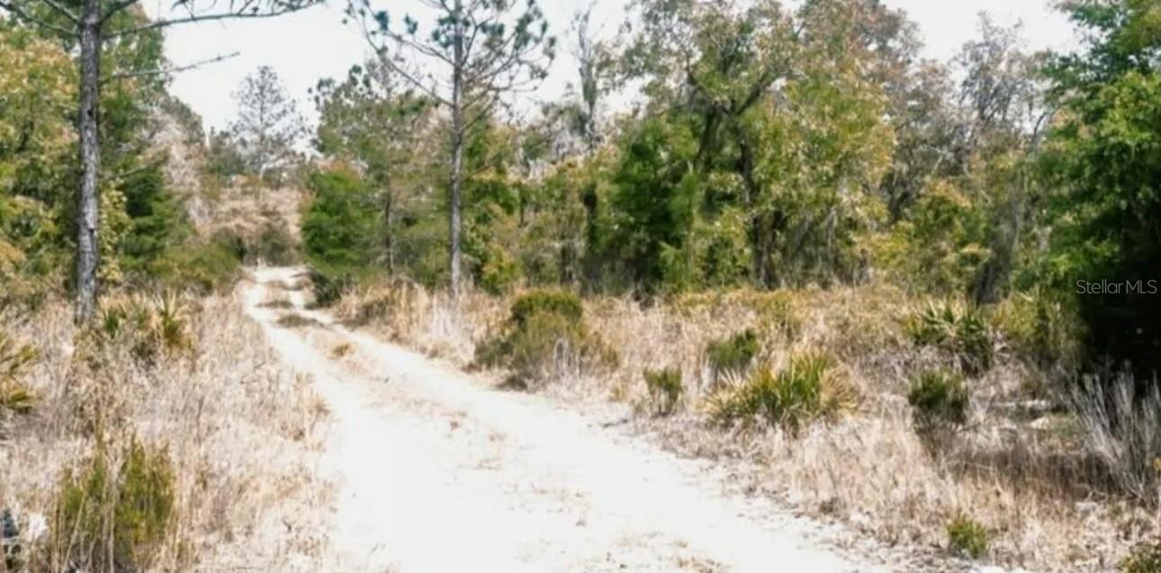 NE 61ST LN, WILLISTON, FL, 32696