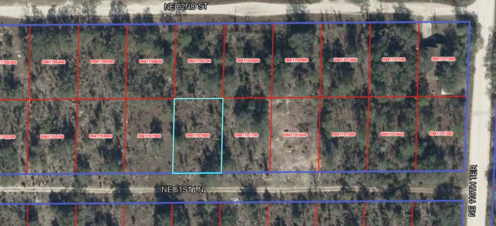 NE 61ST LN, WILLISTON, FL, 32696