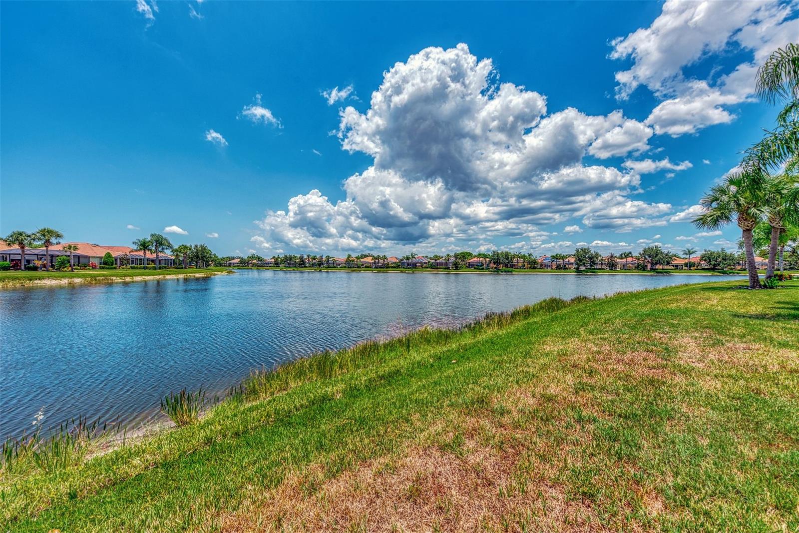 19191 LAPPACIO ST, VENICE, FL, 34293