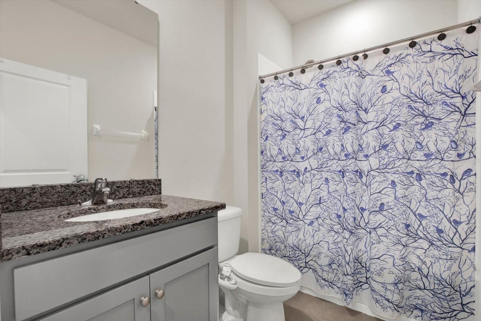 11934 CROSS VINE DR, RIVERVIEW, FL, 33579