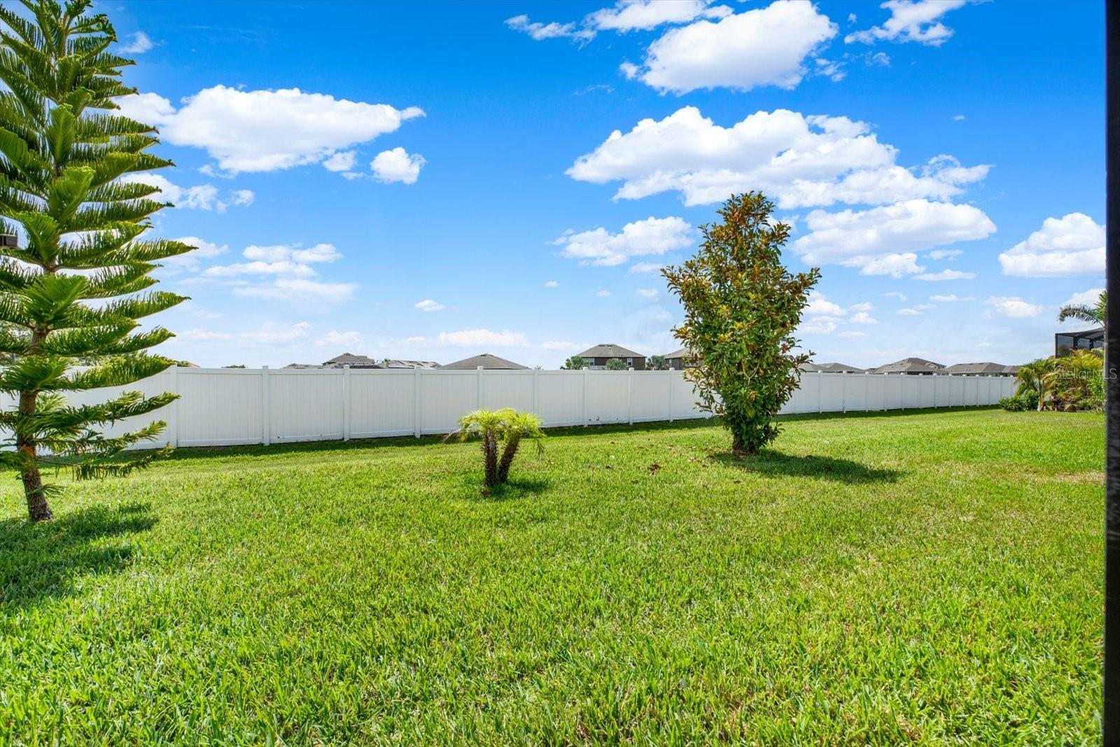 11934 CROSS VINE DR, RIVERVIEW, FL, 33579