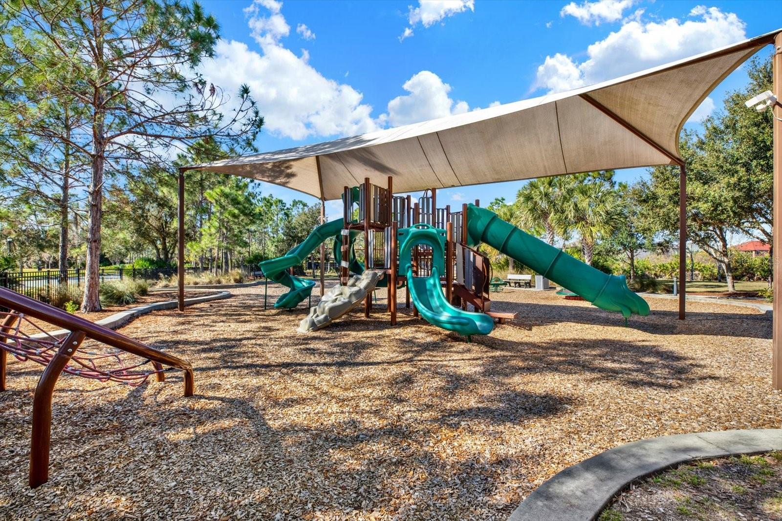 11934 CROSS VINE DR, RIVERVIEW, FL, 33579
