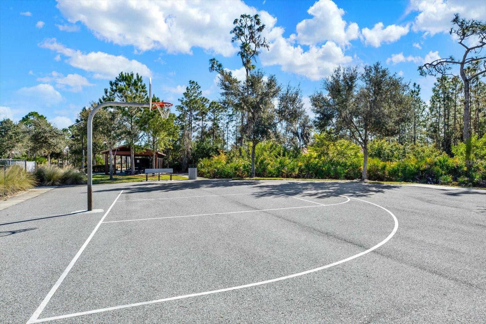 11934 CROSS VINE DR, RIVERVIEW, FL, 33579