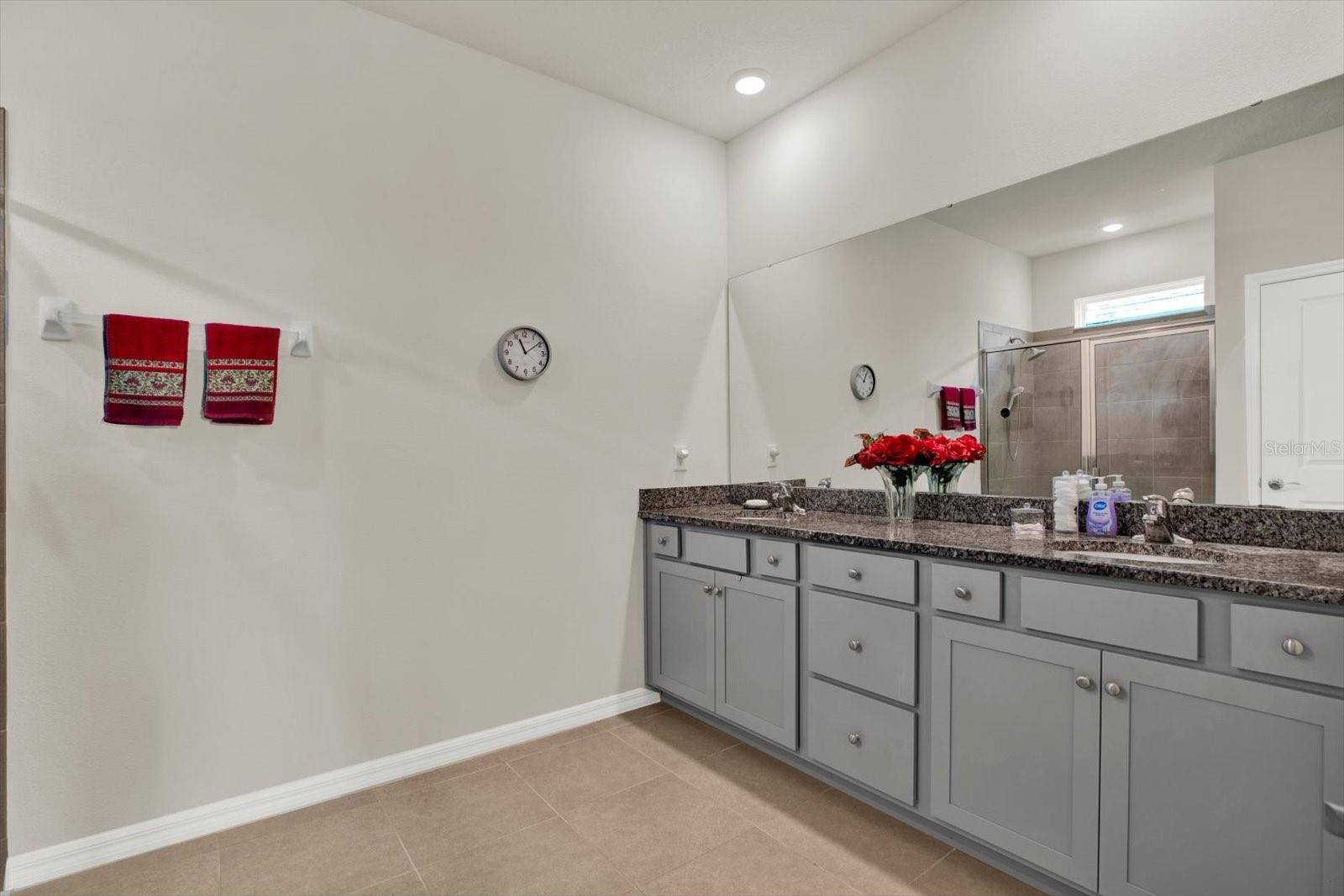 11934 CROSS VINE DR, RIVERVIEW, FL, 33579