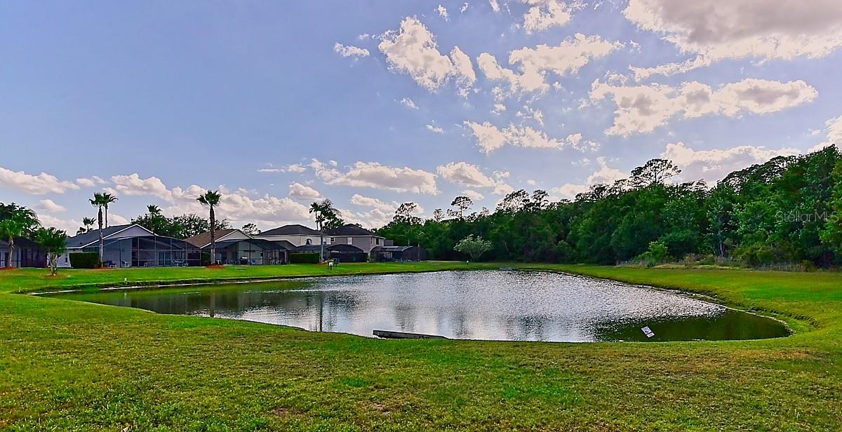 1043 PARK RIDGE CIR, KISSIMMEE, FL, 34746