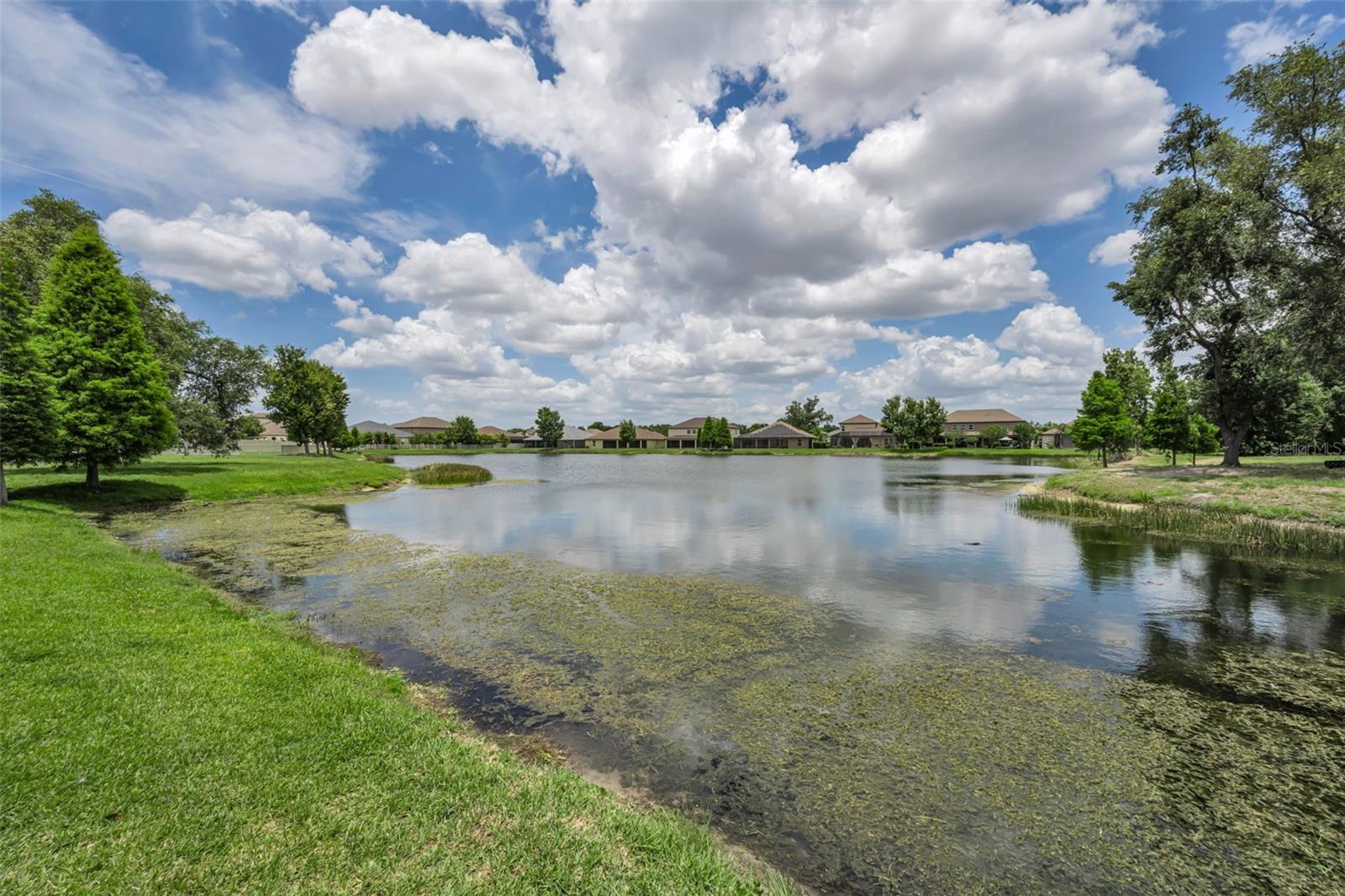 10520 ALCON BLUE DR, RIVERVIEW, FL, 33578