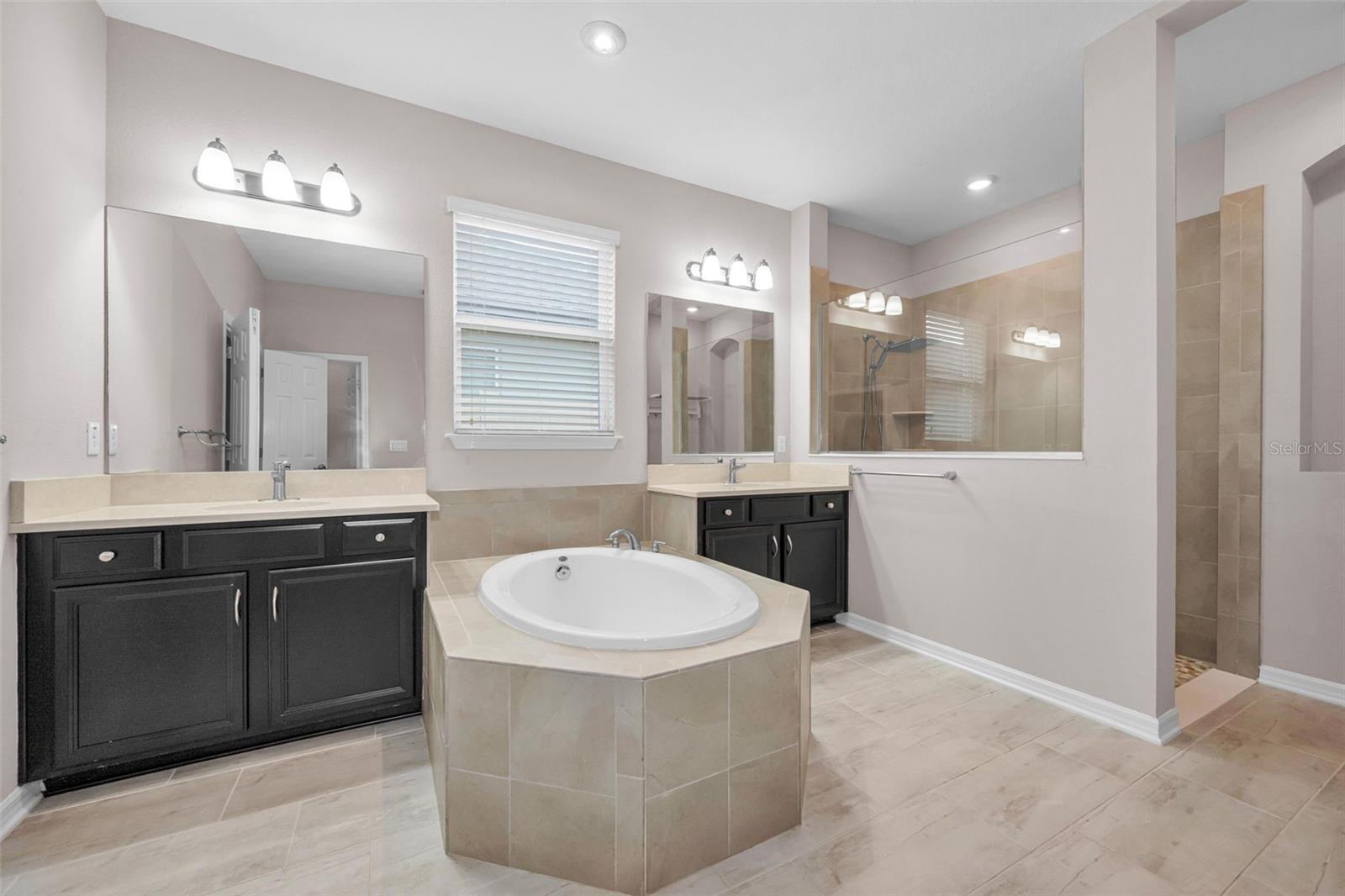 10520 ALCON BLUE DR, RIVERVIEW, FL, 33578