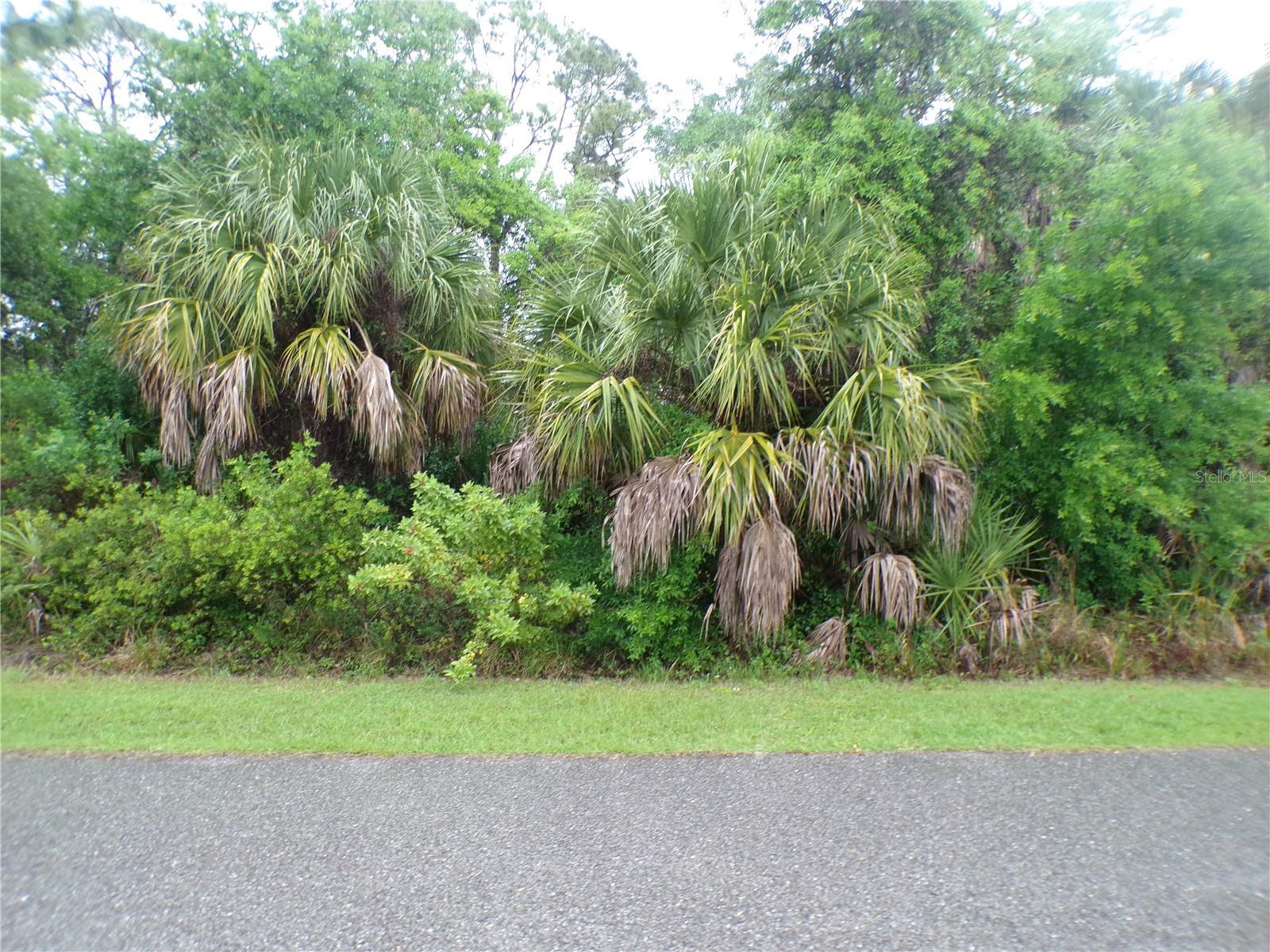 SHALIMAR TER, NORTH PORT, FL, 34286