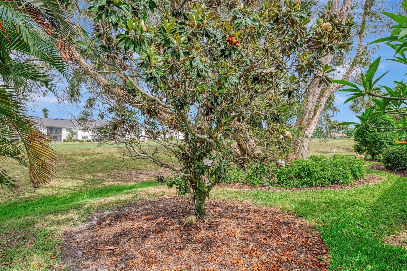 625 MISTY PINE DR, VENICE, FL, 34292