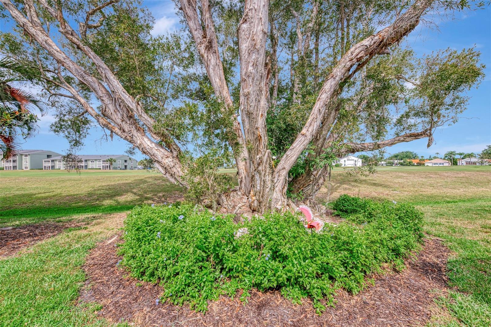 625 MISTY PINE DR, VENICE, FL, 34292