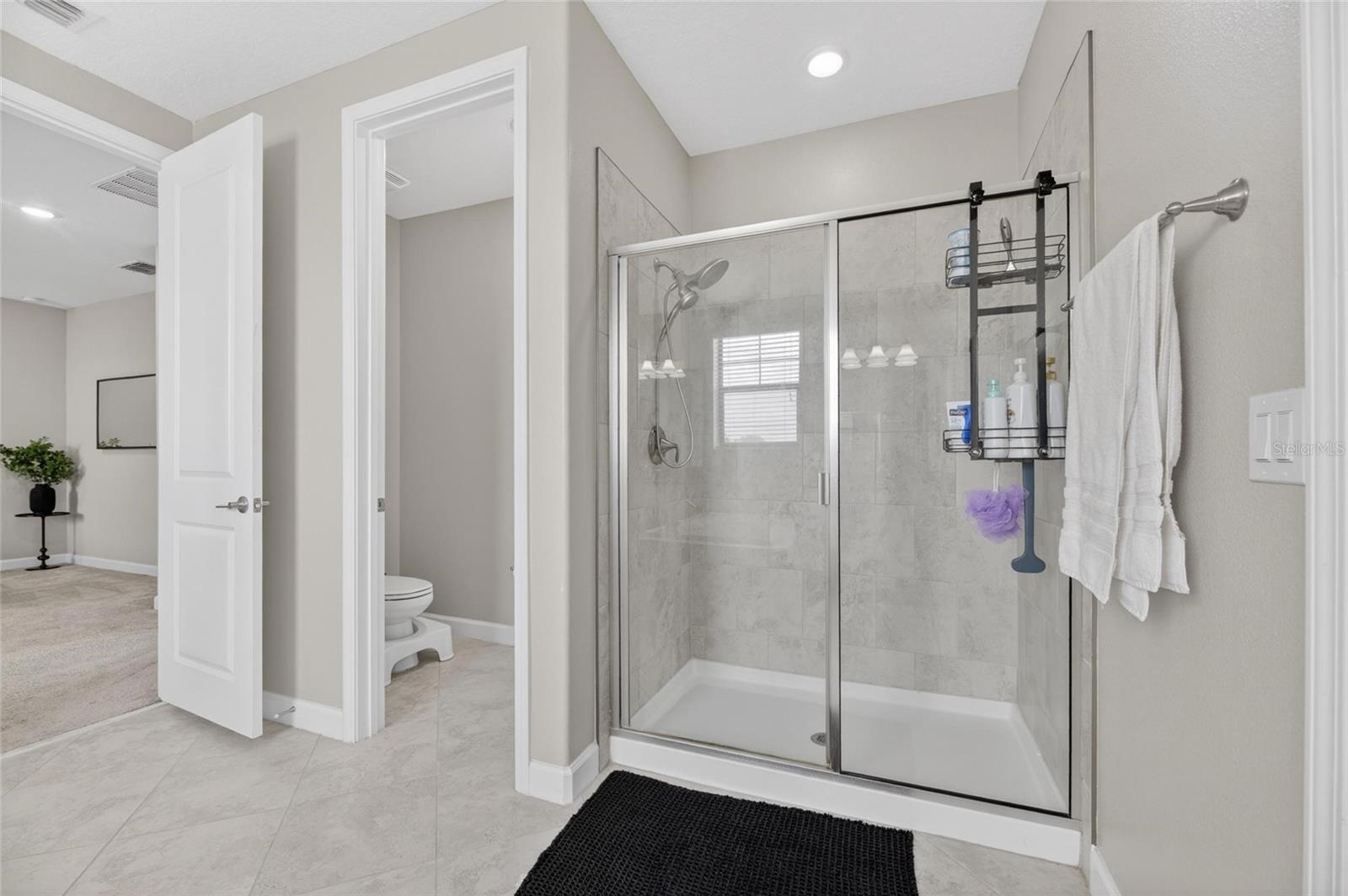 2905 HILLIARD DR, WESLEY CHAPEL, FL, 33543