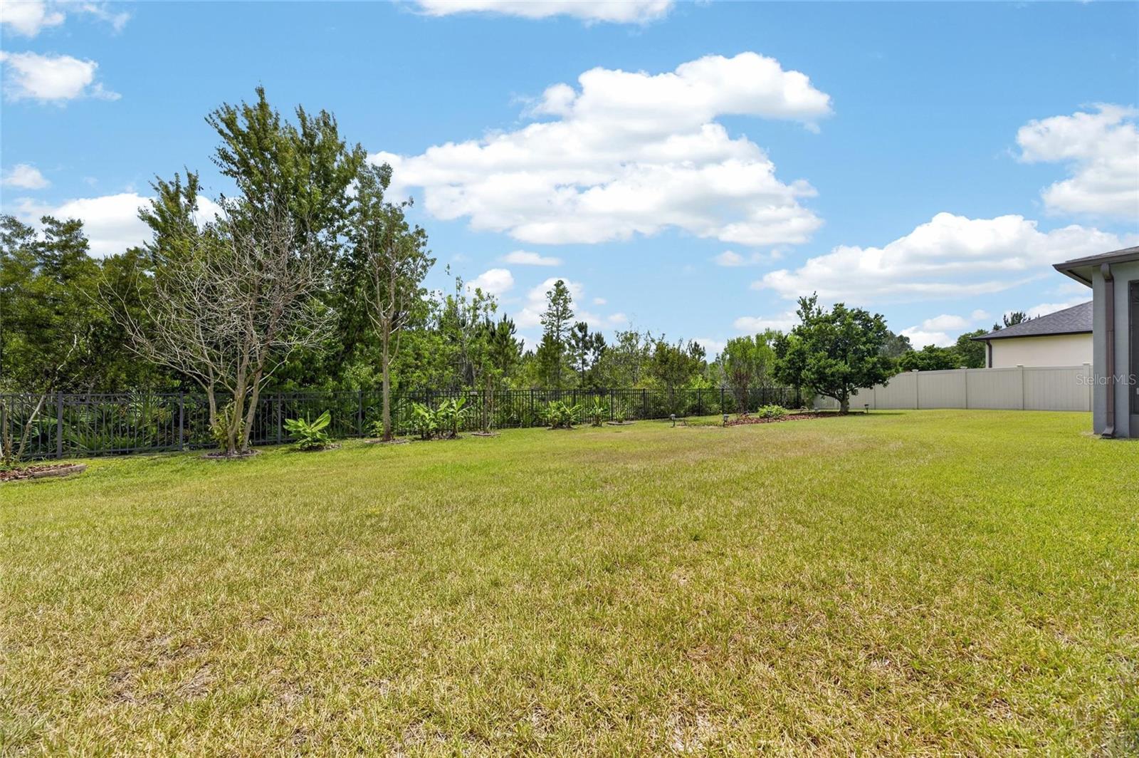 2905 HILLIARD DR, WESLEY CHAPEL, FL, 33543
