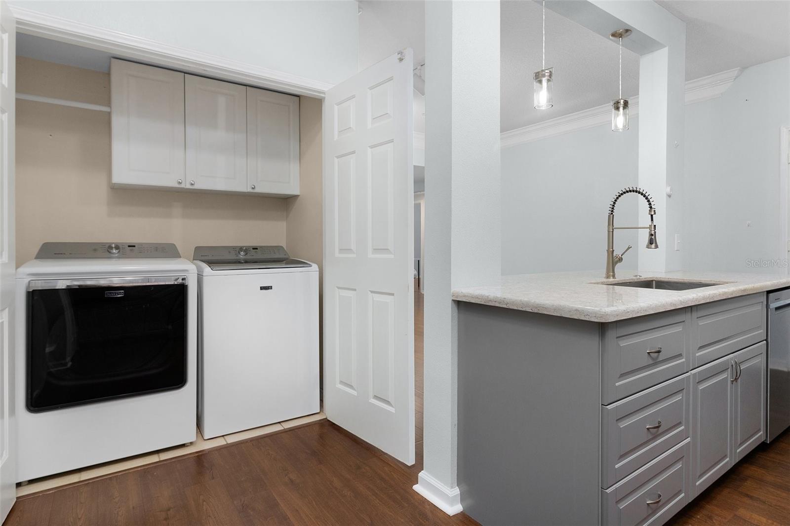 233 GOLDENRAIN DR #202, CELEBRATION, FL, 34747