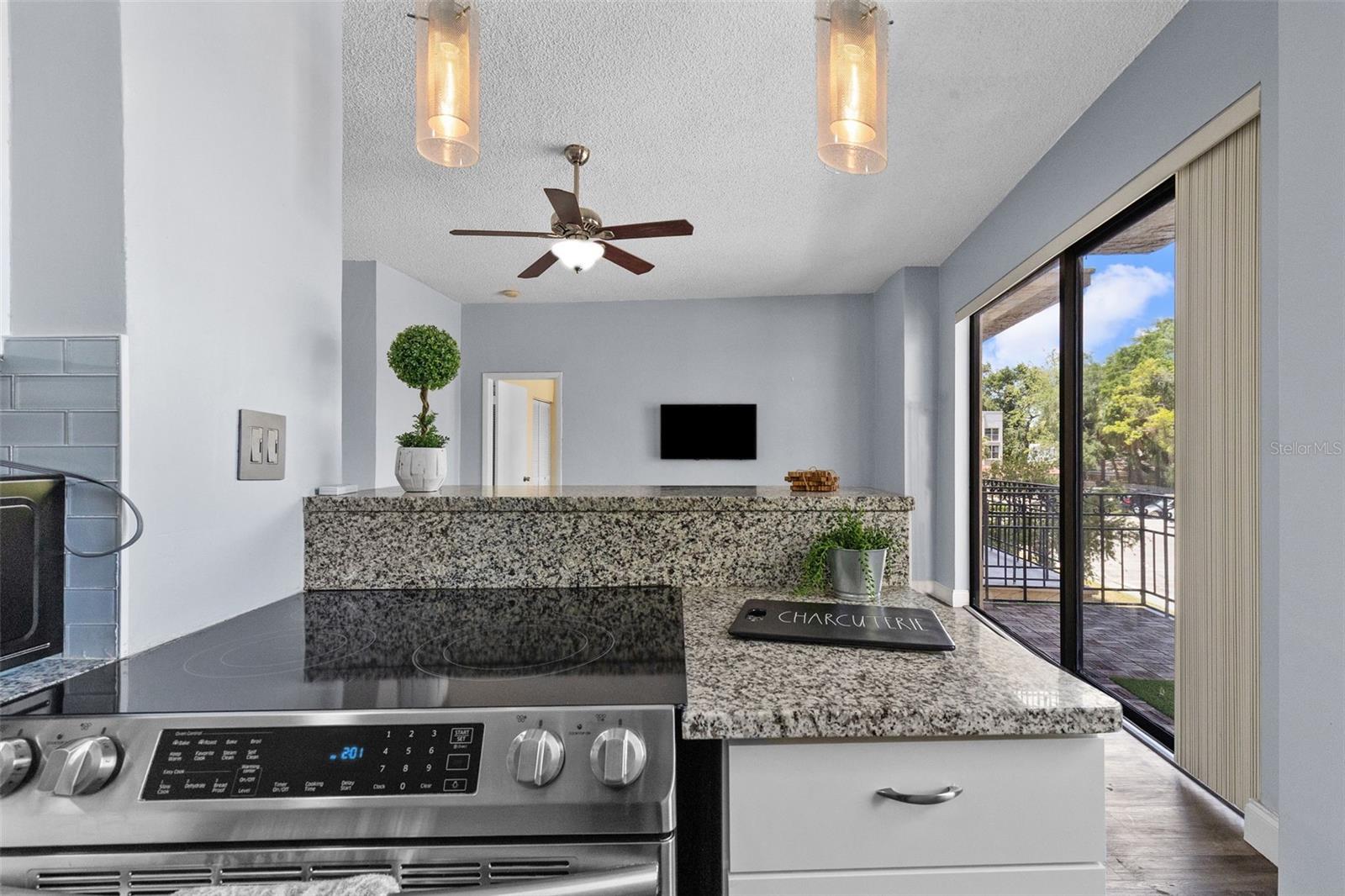 2109 BAYSHORE BLVD #205, TAMPA, FL, 33606