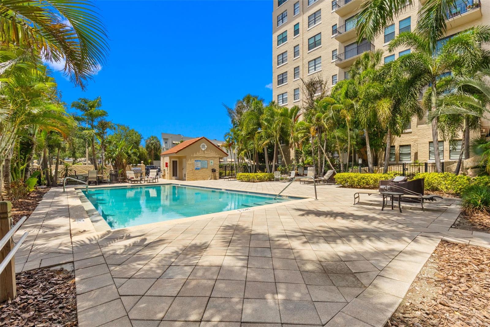 2109 BAYSHORE BLVD #205, TAMPA, FL, 33606