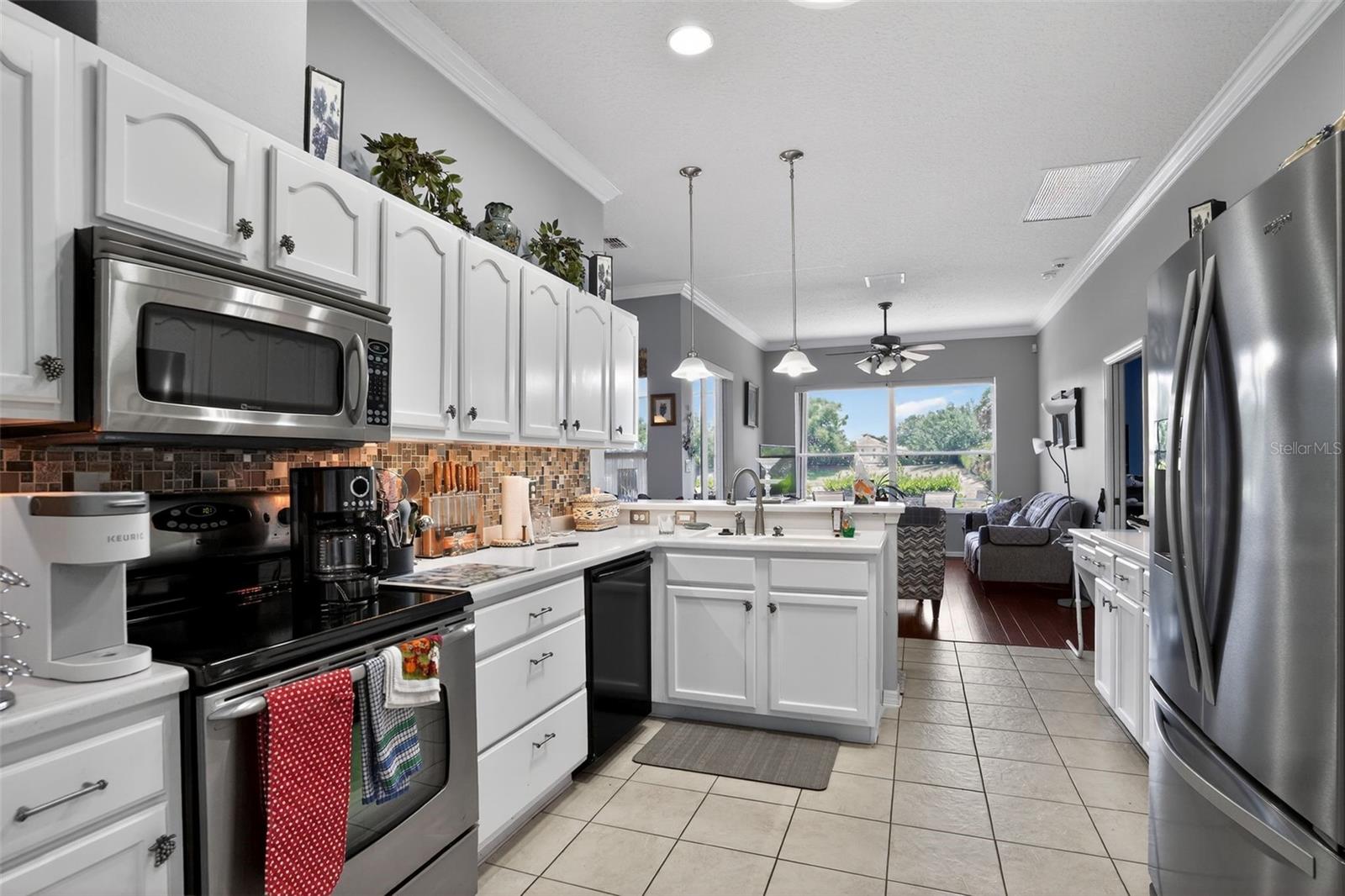 24001 ROBINWOOD ST, LEESBURG, FL, 34748