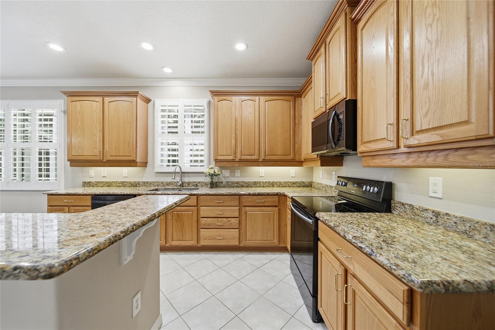21115 PRESERVATION DR, LAND O LAKES, FL, 34638