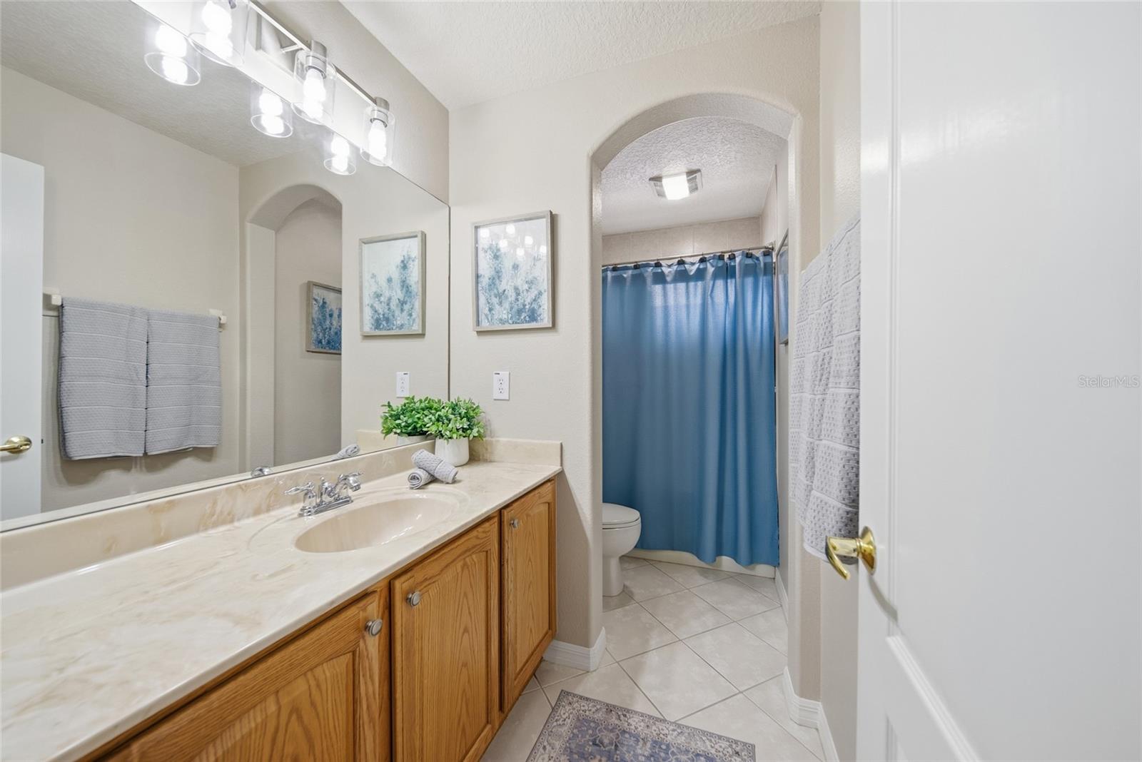 21115 PRESERVATION DR, LAND O LAKES, FL, 34638