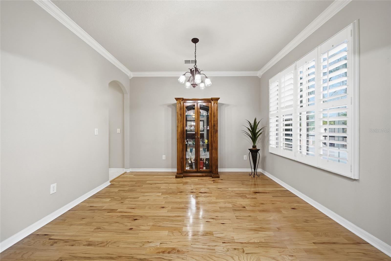 21115 PRESERVATION DR, LAND O LAKES, FL, 34638
