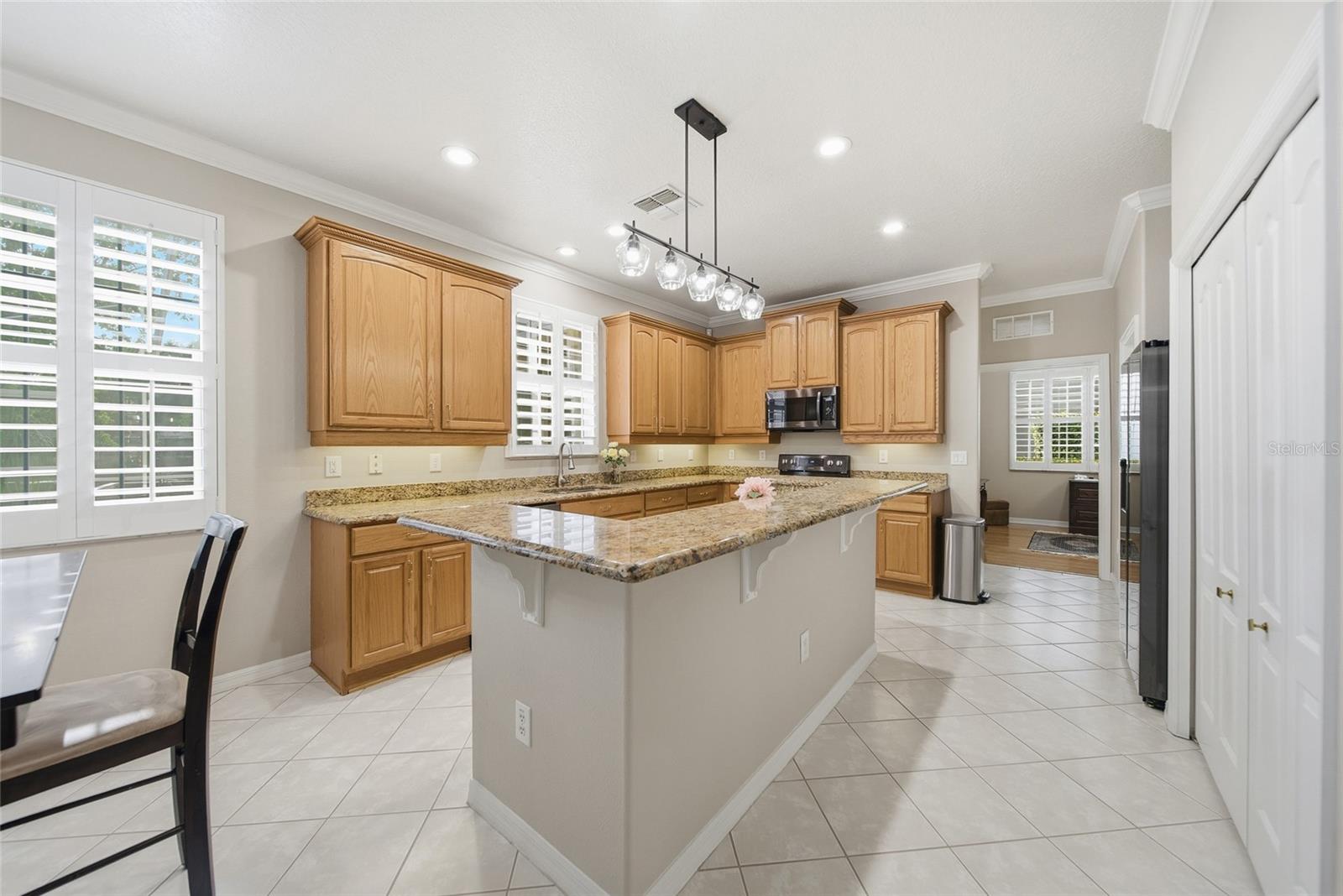 21115 PRESERVATION DR, LAND O LAKES, FL, 34638