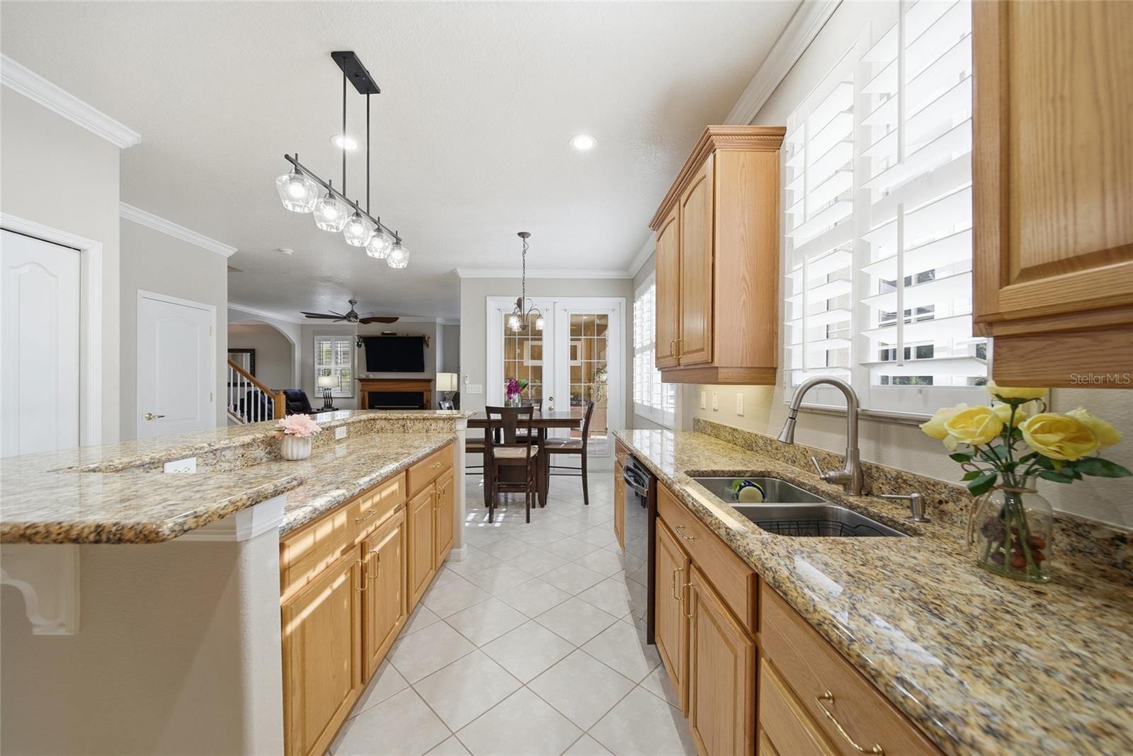 21115 PRESERVATION DR, LAND O LAKES, FL, 34638