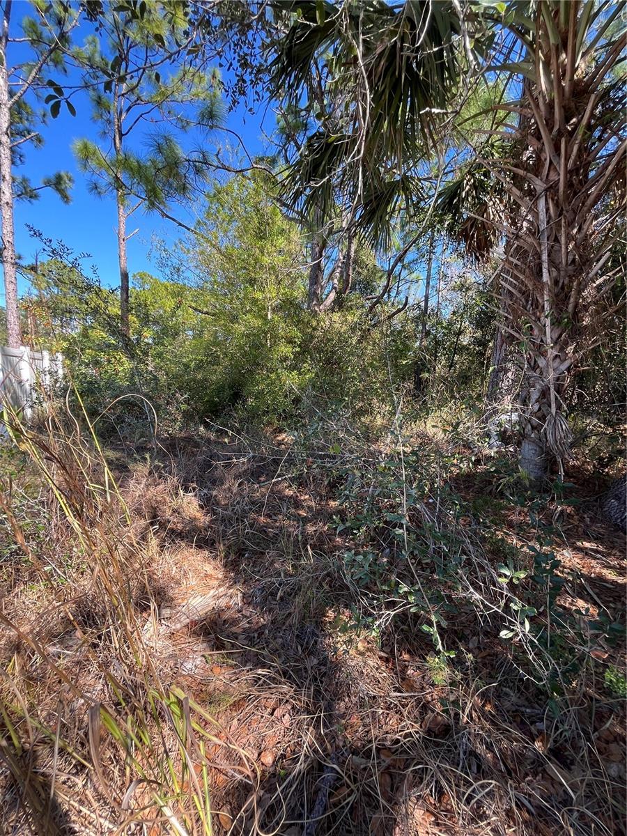TAPLIN AVE, NORTH PORT, FL, 34291