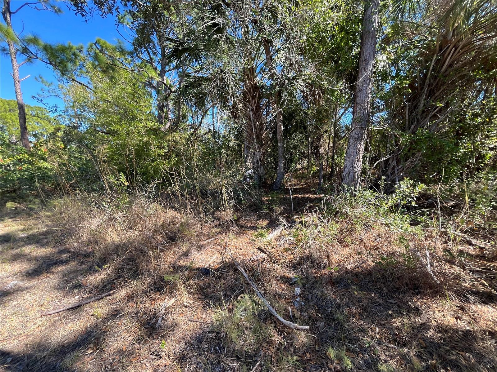 TAPLIN AVE, NORTH PORT, FL, 34291