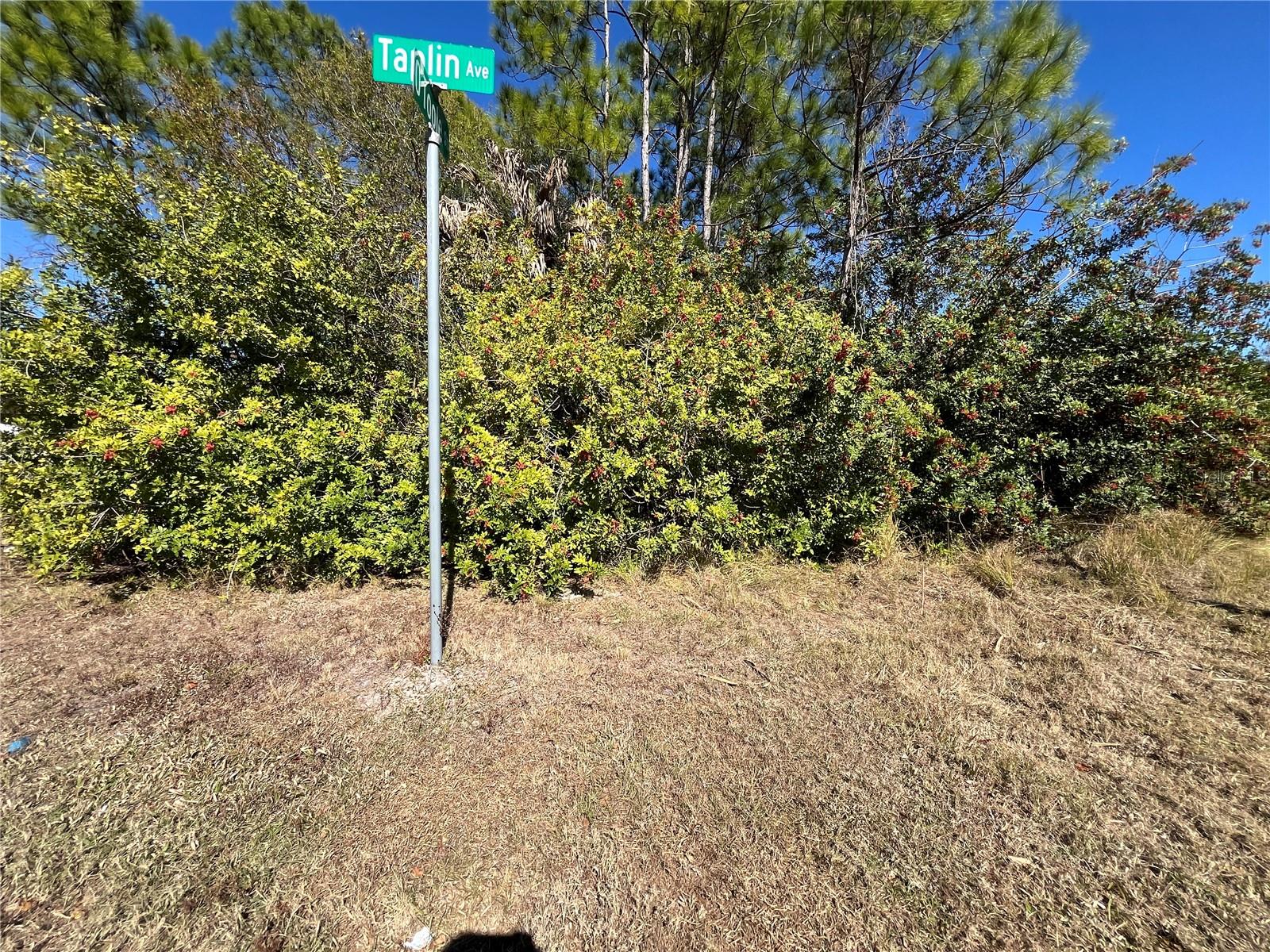 TAPLIN AVE, NORTH PORT, FL, 34291