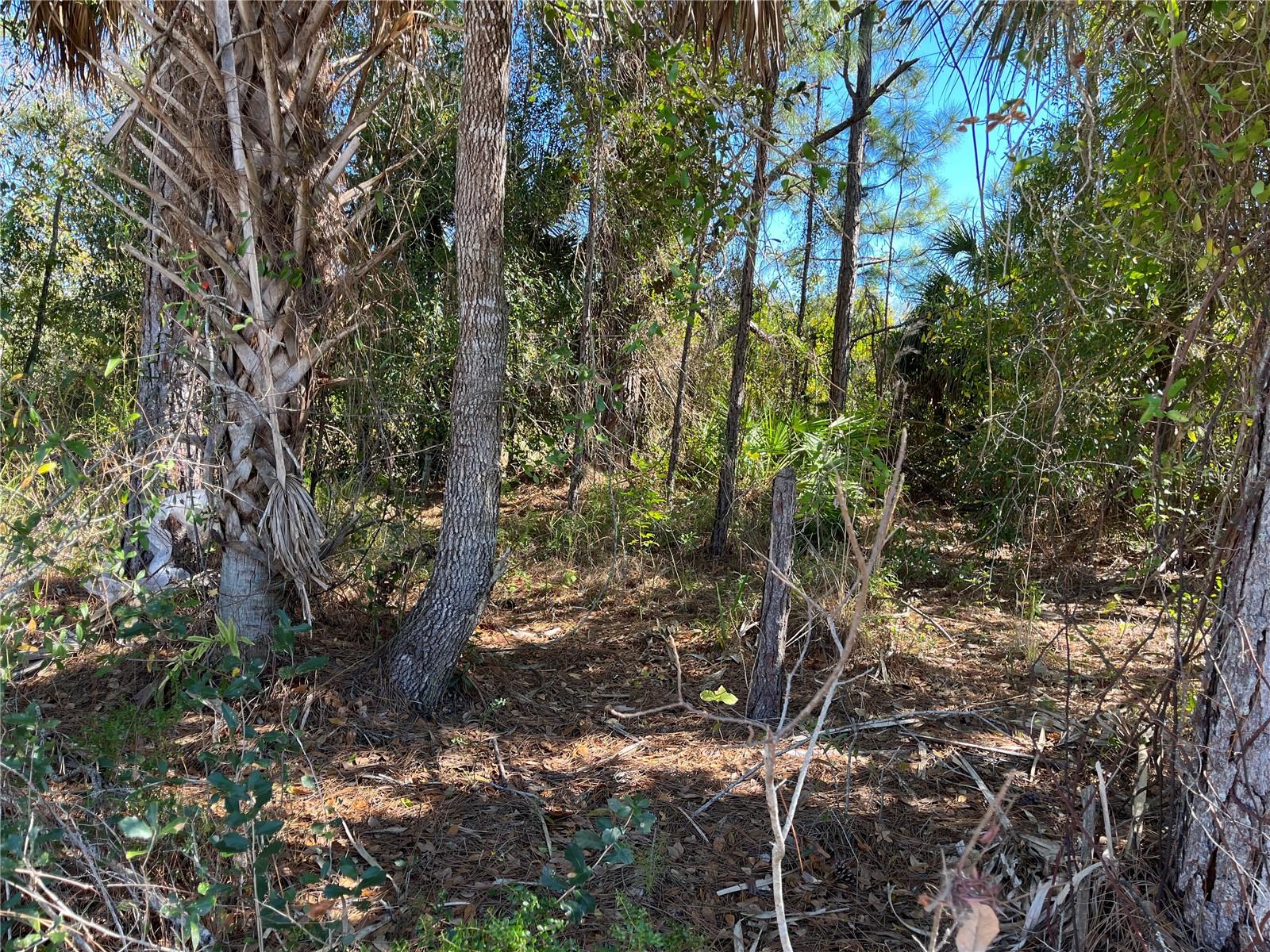 TAPLIN AVE, NORTH PORT, FL, 34291