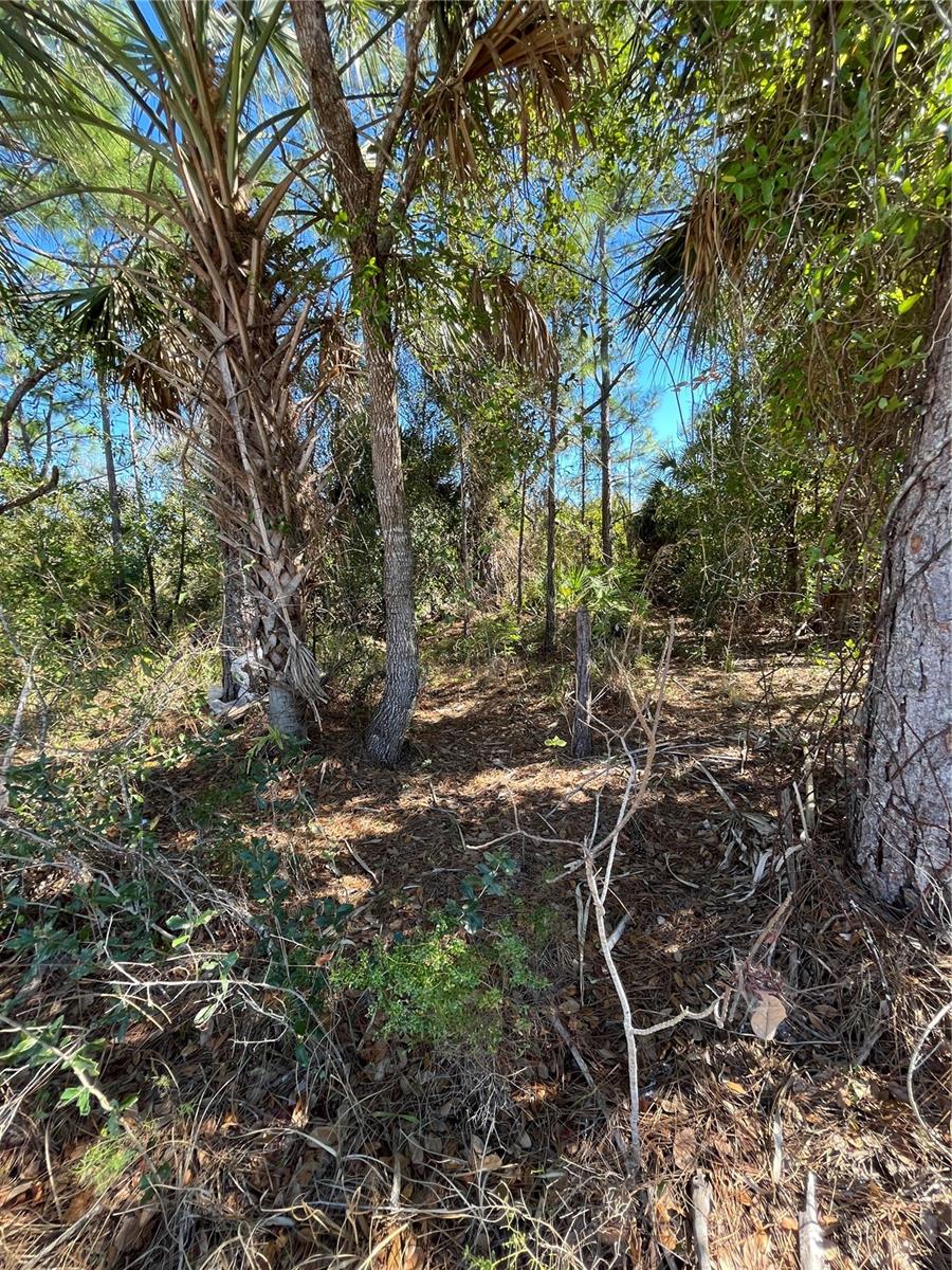TAPLIN AVE, NORTH PORT, FL, 34291
