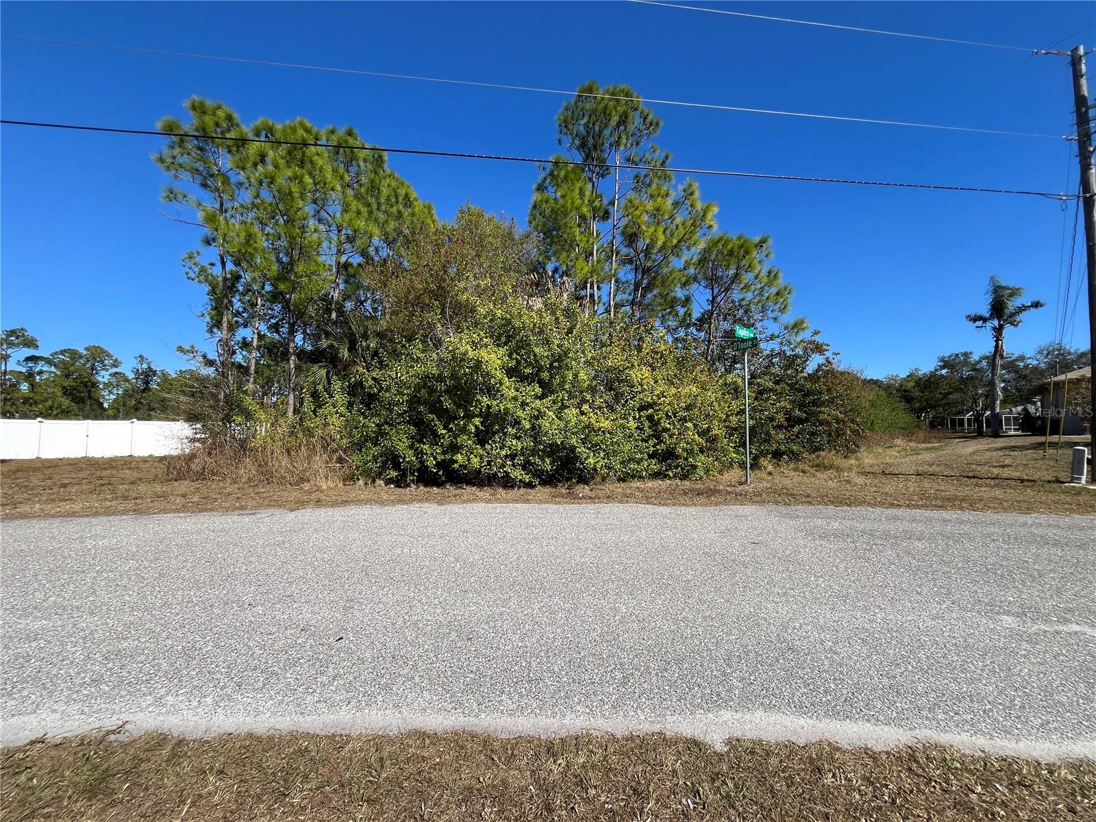 TAPLIN AVE, NORTH PORT, FL, 34291