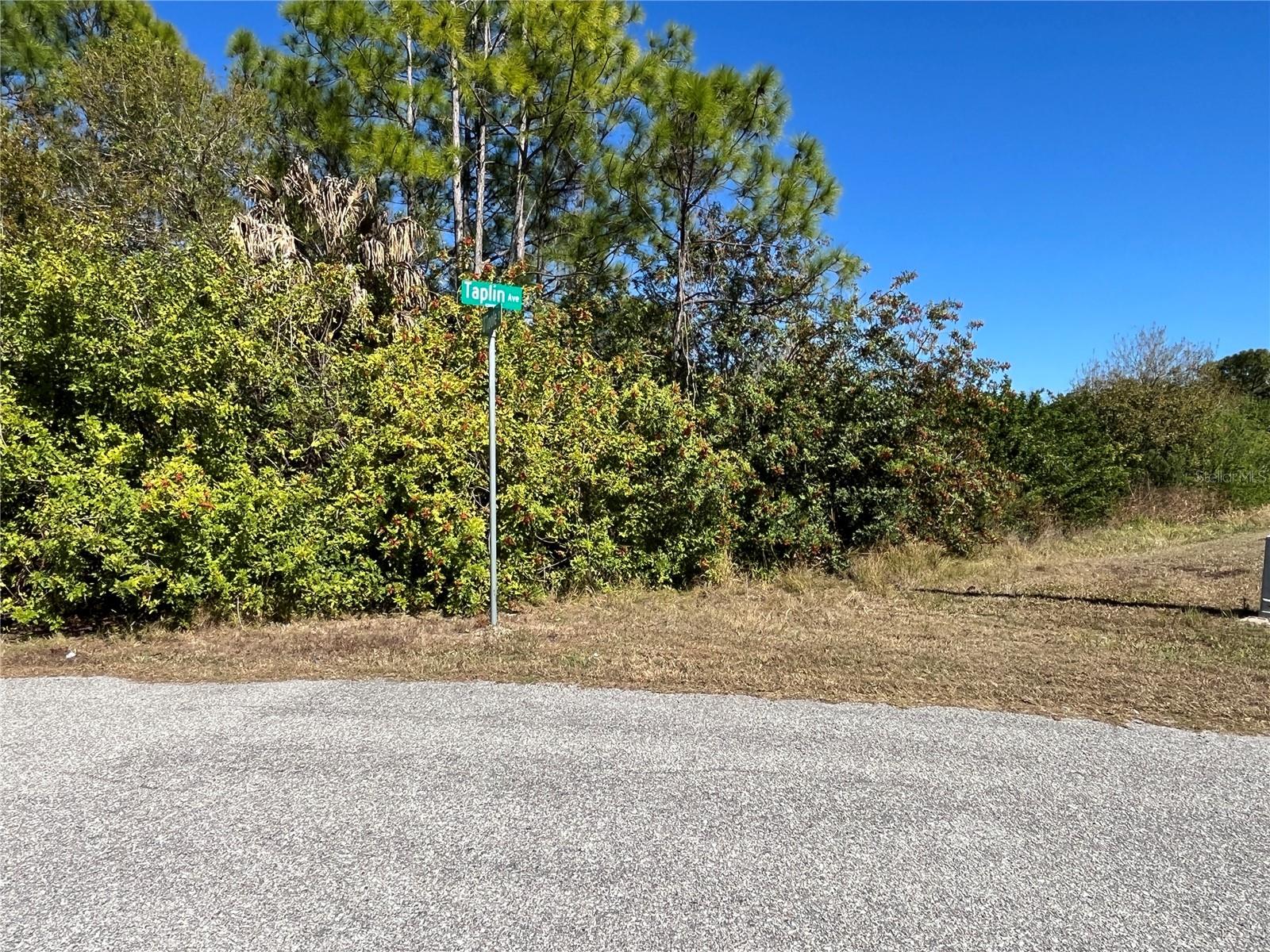 TAPLIN AVE, NORTH PORT, FL, 34291