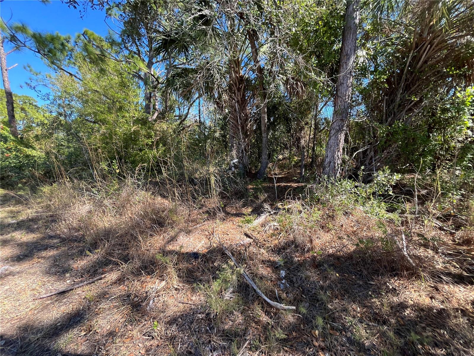 TAPLIN AVE, NORTH PORT, FL, 34291