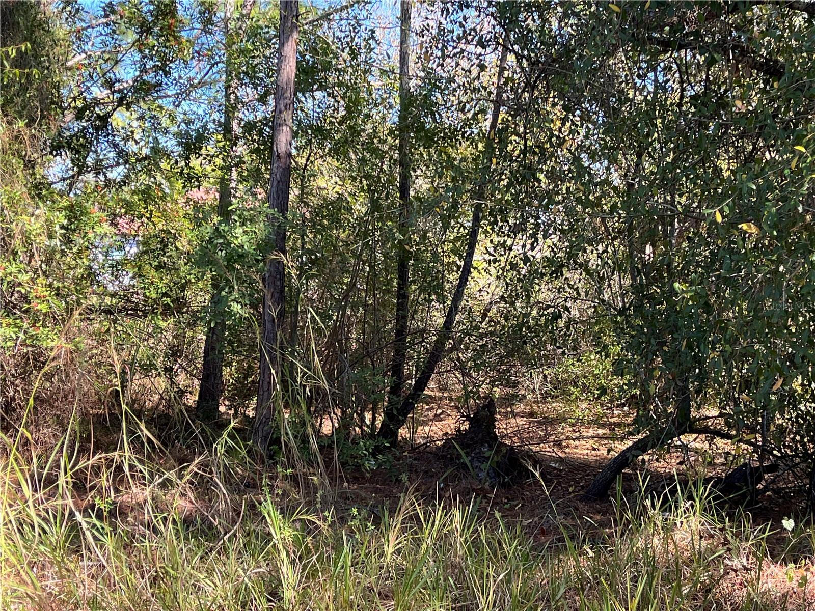 TAPLIN AVE, NORTH PORT, FL, 34291