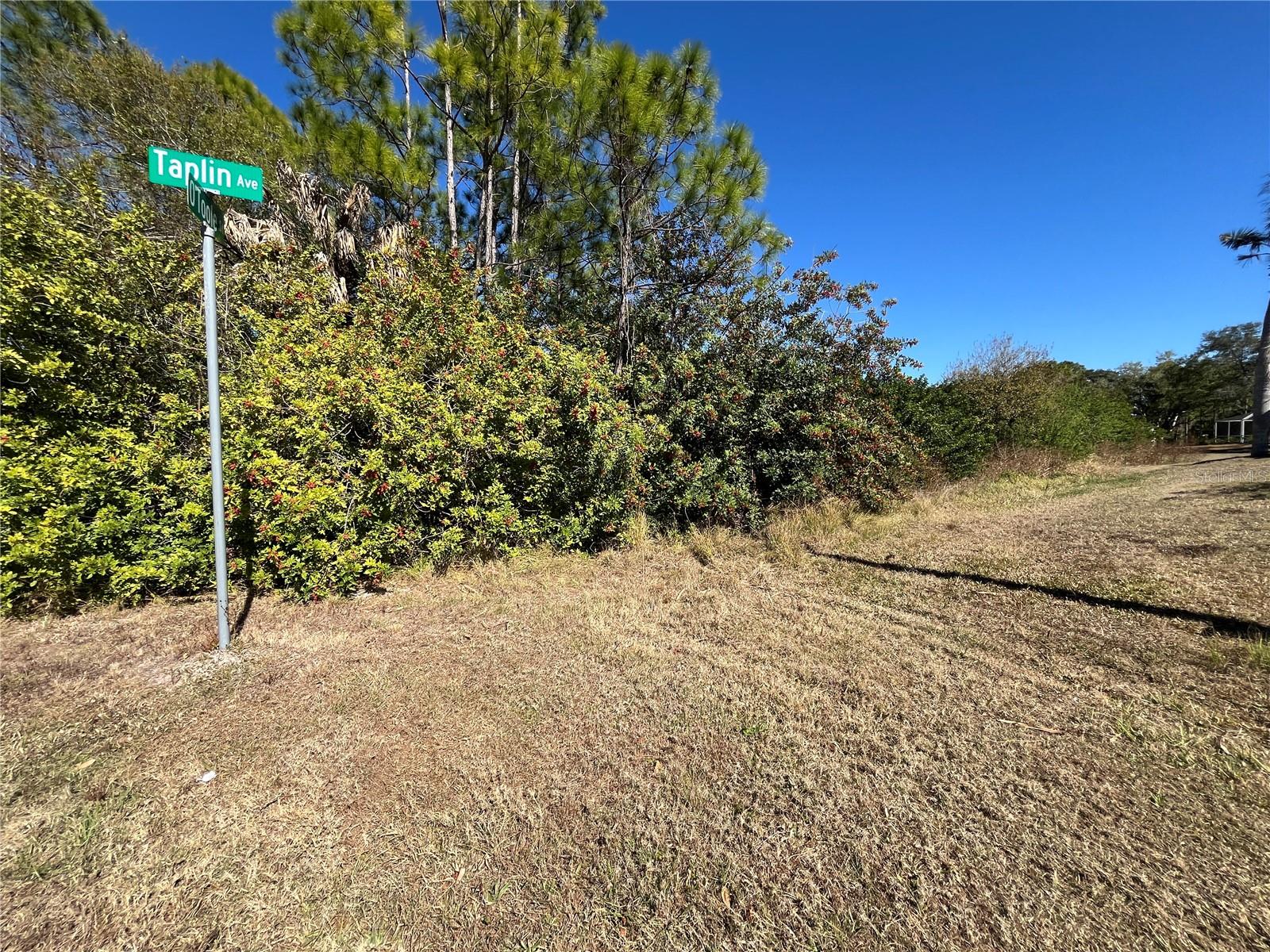 TAPLIN AVE, NORTH PORT, FL, 34291