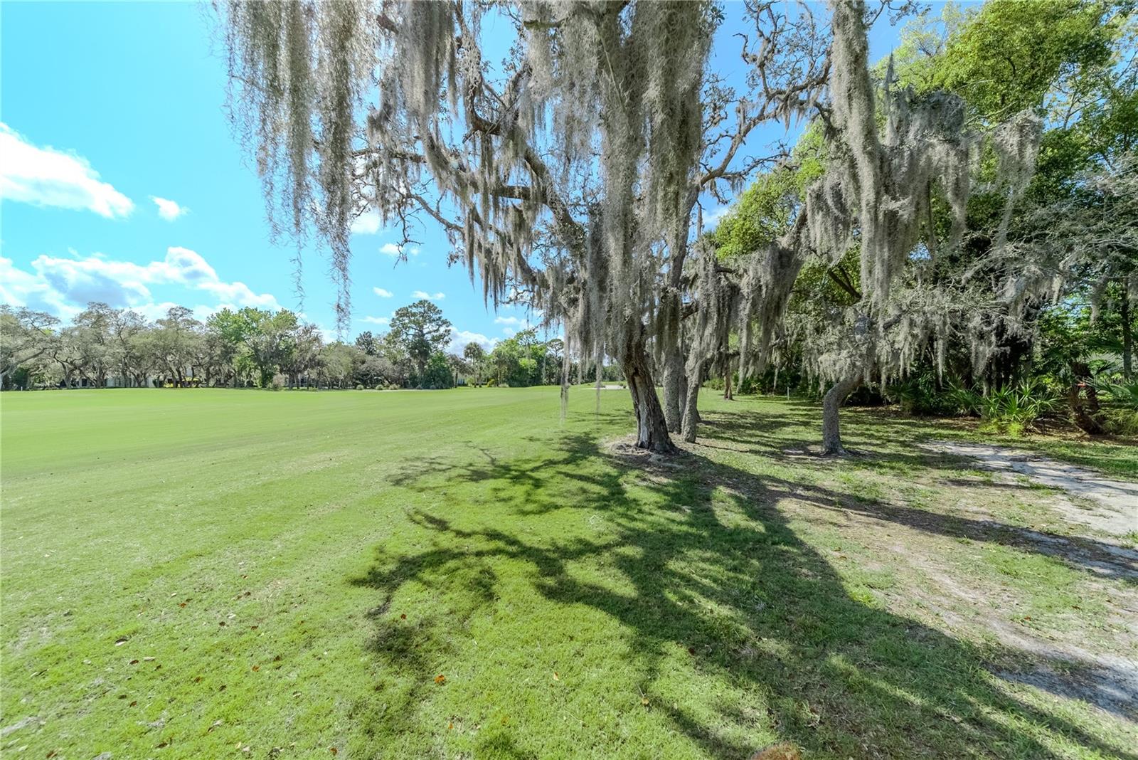 550 BOTTLEBRUSH CT, NEW SMYRNA BEACH, FL, 32168