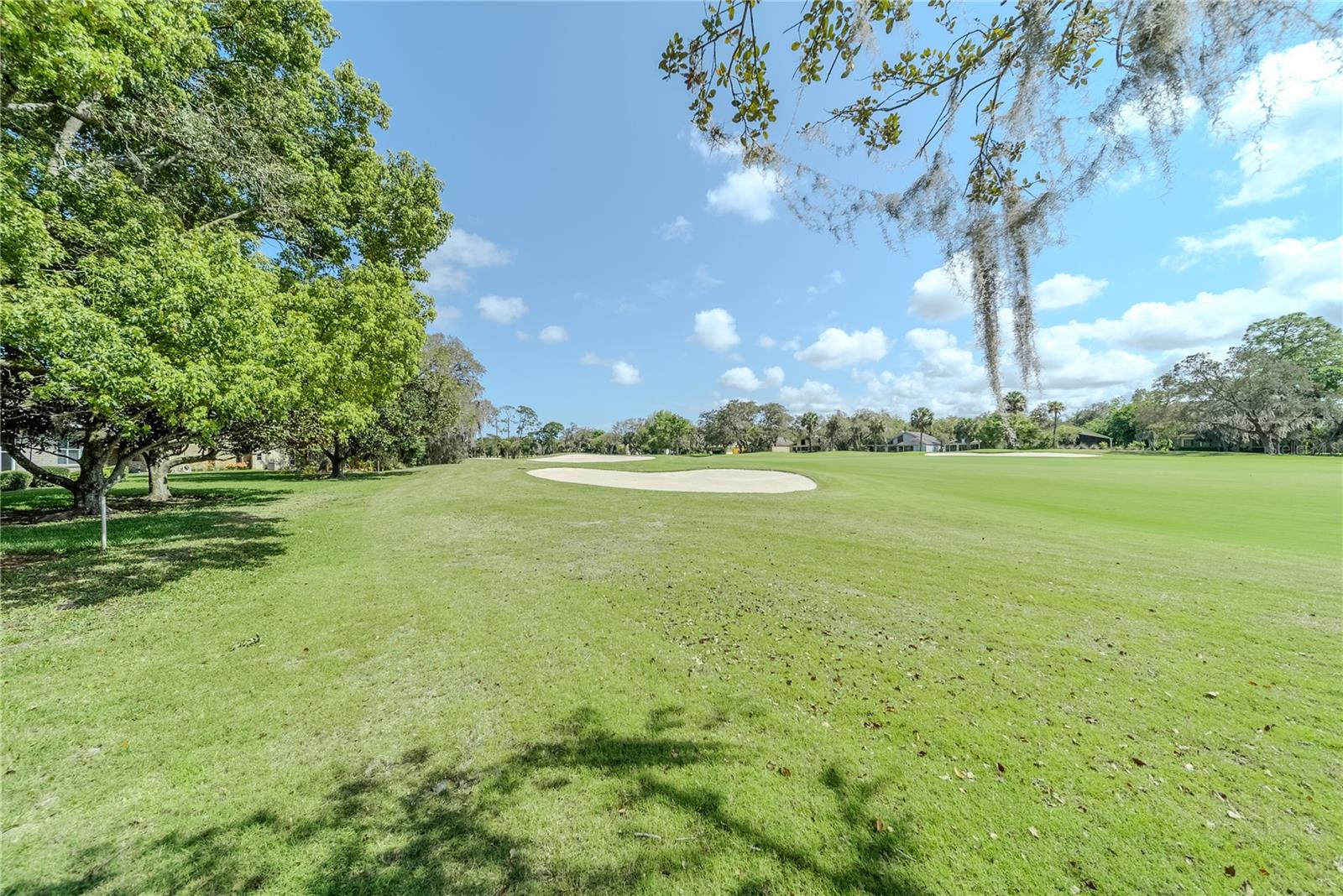 550 BOTTLEBRUSH CT, NEW SMYRNA BEACH, FL, 32168