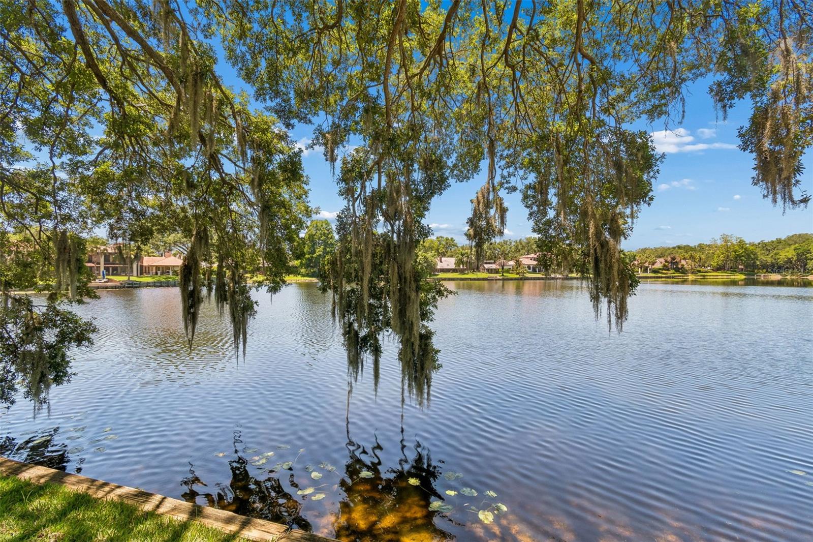 816 TARAY DE AVILA, TAMPA, FL, 33613